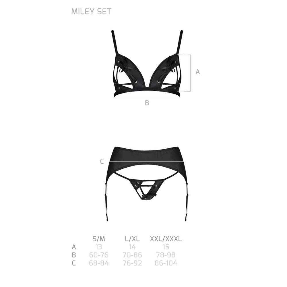Комплект из эко-кожи Passion MILEY SET S/M, black, трусики, бюстгальтер, пояс для чулок