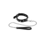 Ошейник с шипами и с поводком Fetish Tentation Spikes and Leash