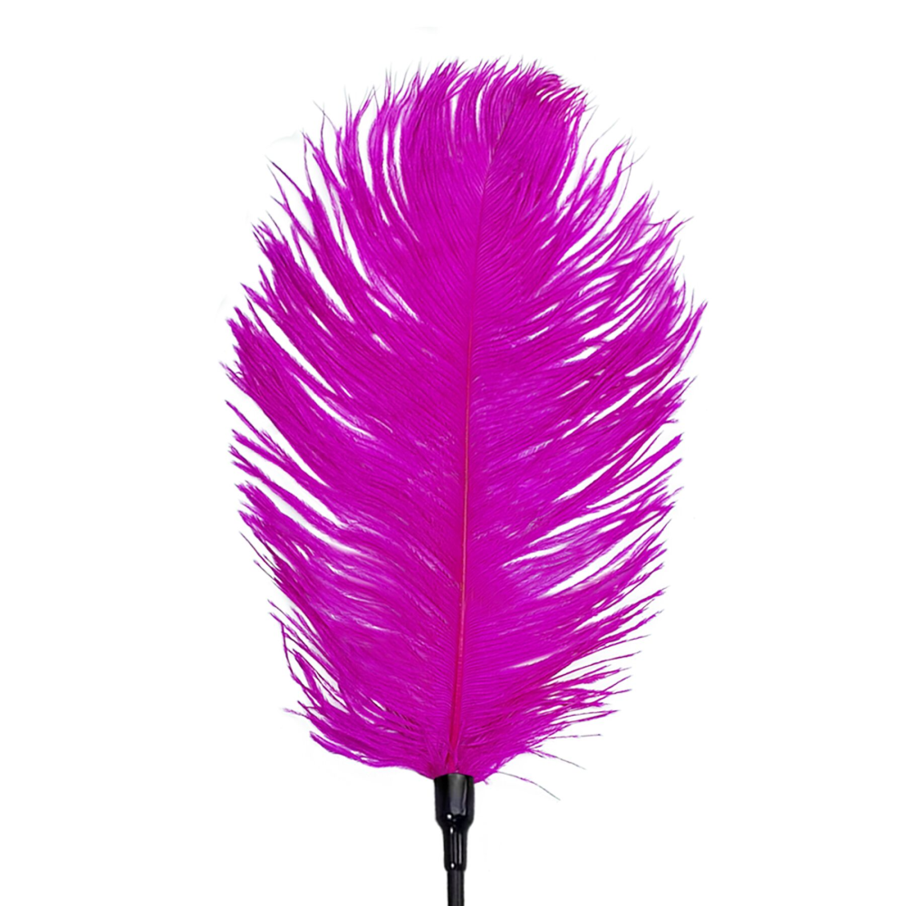 Щекоталка со страусиным пером Art of Sex – Feather Tickler, темно-розовая