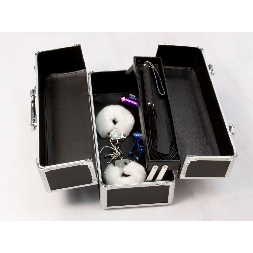 Большой кейс для хранения секс-игрушек BMS Factory Large Lokable Vibrator Case Black, кодовый замок