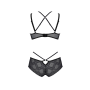Комплект Passion DROSERA BIKINI black, S/M, бюстгальтер и трусики-кюлоты