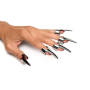 Набор колец с когтями Master Series Five-Piece Sensation Claw Rings - Silver (мятая упаковка!!!)