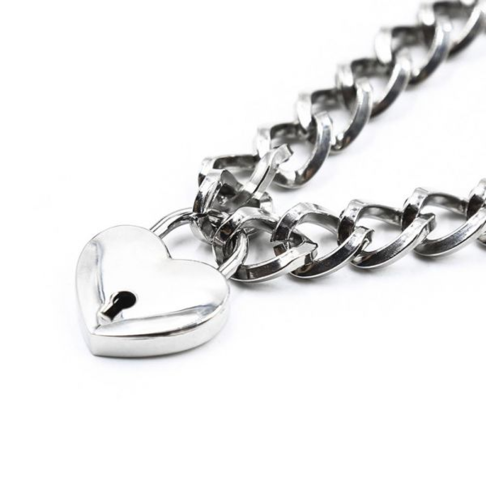 Ошейник c замком в виде сердца DS Fetish Heart, Silver