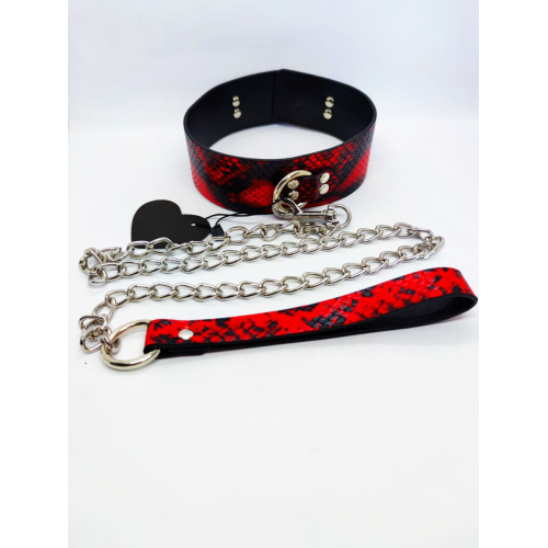 Оейник с поводком Collar black/red with leash