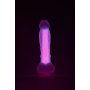 Светящийся фаллоимитатор Dream Toys RADIANT SOFT SILICONE GLOW IN THE DARK DILDO LARGE PINK
