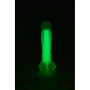 Светящийся фаллоимитатор Dream Toys RADIANT SOFT SILICONE GLOW IN THE DARK DILDO SMALL GREEN