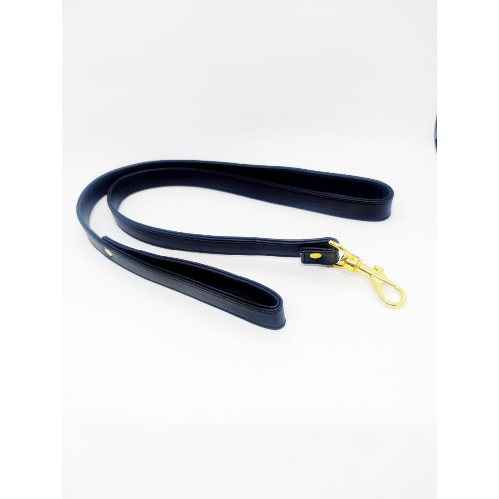 Ошейник с поводком DS Fetish Collar, синий