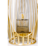 Духи с феромонами женские Perfect with PheroStrong 50 ml