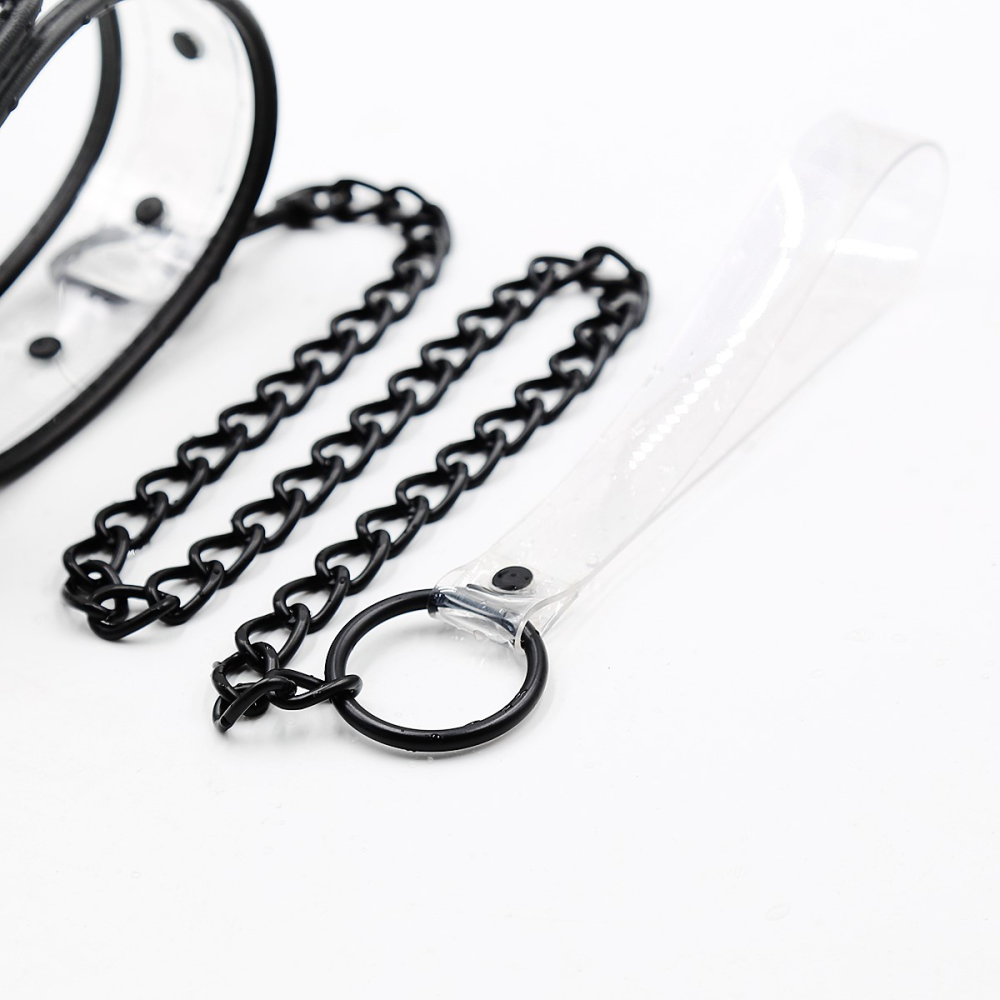 Ошейник с поводком DS Fetish Collar with leash transparent