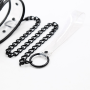 Ошейник с поводком DS Fetish Collar with leash transparent
