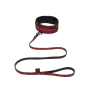Поводок Fifty Shades of Grey Sweet Anticipation Reversible Faux Leather Collar and Lead