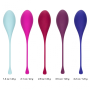 Набор вагинальных шариков California Exotics Kegel Training 5-Piece Set