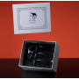 Мужской пояс верности UPKO “Caged Beast”Male Chastity Device Kit