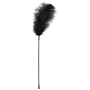 Перо Black feather Bad Kitty