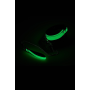 Ошейник с поводком светящийся в темноте Dream Toys Radiant Glow In The Dark Collar & Leash зеленый