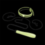 Ошейник с зажимами для сосков люминесцентный Whipsmart Glow In The Dark, зеленый