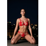 Комплект Passion ANUVERA SET fire brick S