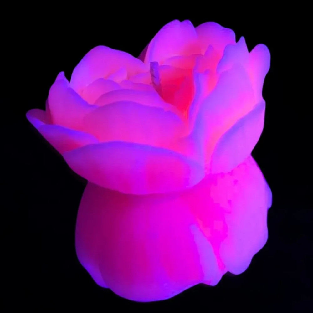 Свеча роза люминесцентная GlowKink 62 г, низкотемпературная, L, для БДСМ, персиковая