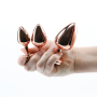 Набор анальных пробок NS Novelties Rear Assets - Trainer Kit - Rose Gold - Pink Heart