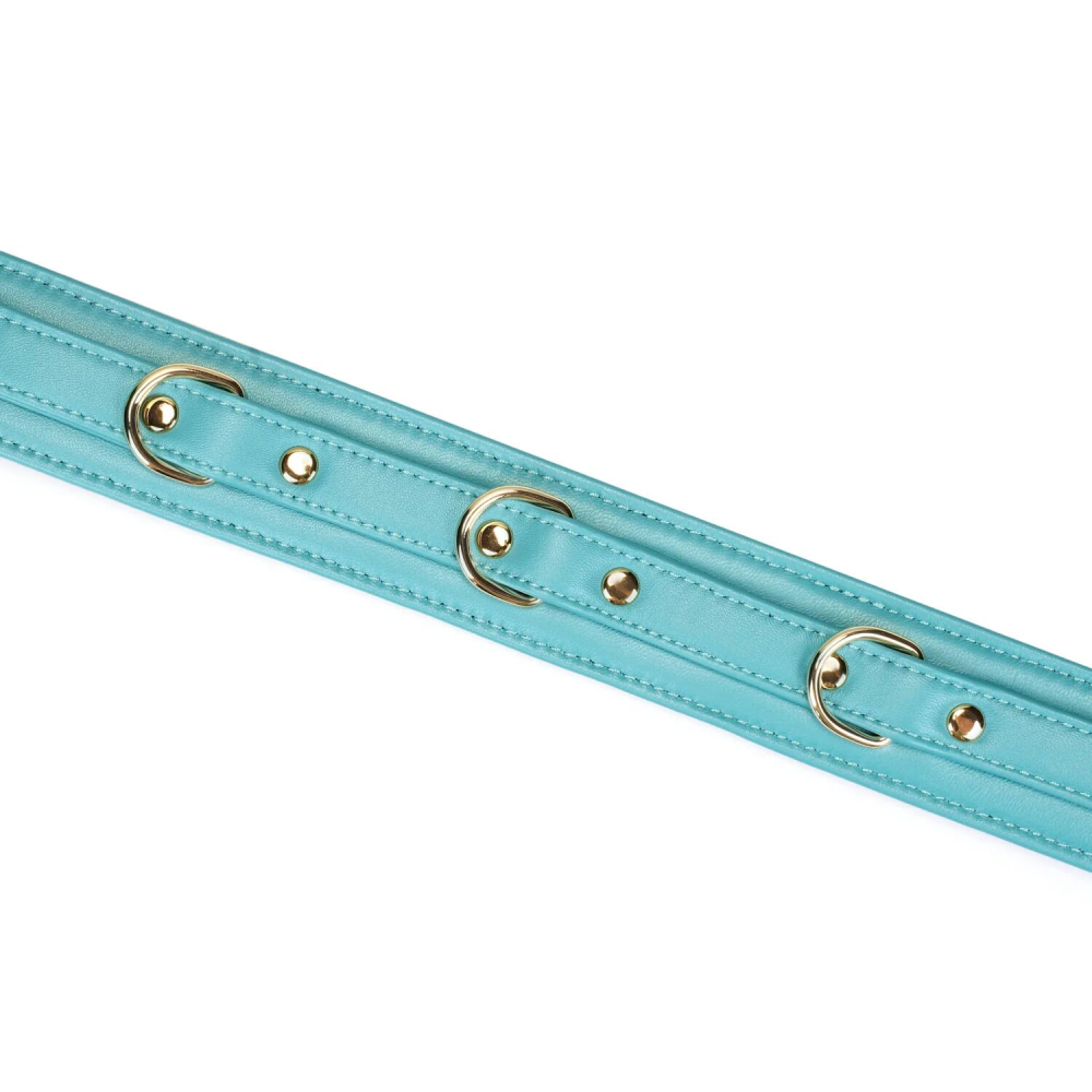 Ошейник с поводком Liebe Seele Blue Lamb Leather Collar with Velvet Lining